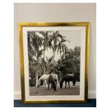 WGG311 Island Horses - Large Framed Photograph 