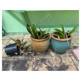 SAT267 - Three Potted Plants