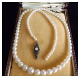 PPM113 Elegant Mikimoto White Graduated 18" Pearl Necklace