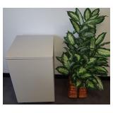 PCSS029 Metal Cabinet and Artificial Plant
