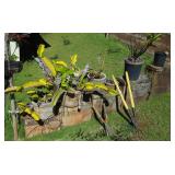 PCSS040 Assorted Potted Plants and Garden Tools