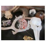 Bellevue ESTATE Sale by Hannah's Attic