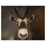 Newcastle ESTATE Sale by Hannah's Attic