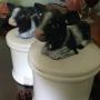 Multi-Family Estate Items for Sale