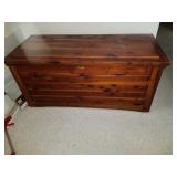 trunk/chest