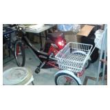 adult trike