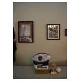 Den (may be moved to Jewelry room)