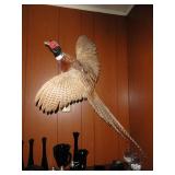 Taxidermy