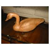 swan