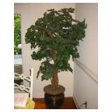 silk ficus