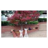 North Arlington Sports Memorabilia & Household Furnishings