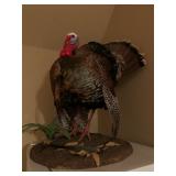 Hunting Fishing and Country Living in Joshua