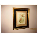 FRAMED BIRD ART