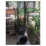 Plants ! 