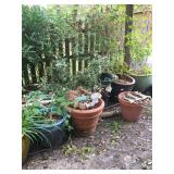 Pots 