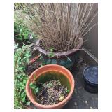 More Pots 