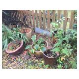 and More Pots 