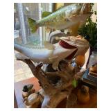 Mounted Fish