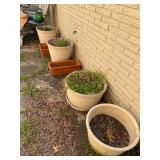 Miscellaneous outdoor pots