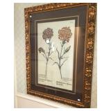 Large Framed Antique Botanical Flower Book Plate 