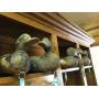 Primitive decoy ducks