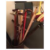 Walking stick collection