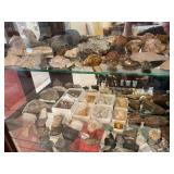 Rocks Mineral and Fossils 