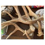 Antlers