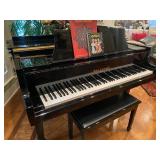 Baby Grand, Black Lacquer, Electric Player Piano, Kohler & Campbell, KCG-450, IJPJG0109