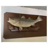 Mounted Bass, fish