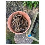 IMG 8732Lot44AllianceLot44Alliance