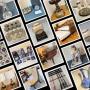 Broadmoor Golf Club Estate - High End Furniture, Collectibles, Gold, Silver, Coins and More!