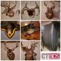 Wildlife, Hunting and more Online Auction