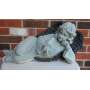 AUNT ANNIE'S FLORISSANT SALE