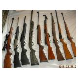 variety of fire arms