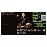 LLsEstateSale & MaxSold