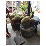 Penny's from Heaven Packed Lomita  Sun 50% offEstate Sale