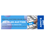 Bid in an auction