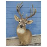 Incredible finds warehouse auction