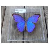 Amazing Attorney living estate liquidation