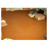 Carpet Approx 8 1/2 x 12 1/2