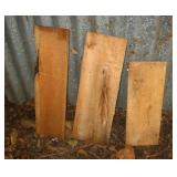 Samples of Wood Sections