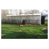 Illustrates Size of 2 Wood Shed Goodies