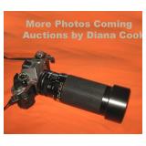 Diana Cook Auctioneer 219-763-3741