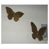 Butterflies Made of Composition Material