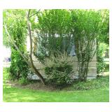 Any Age Groups May Live at Weatherstone