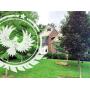 Crazy Packed House Estate Sale in Zionsville