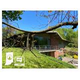Packed Mid-Century Modern Home in Indianapolis: Online-Only Auction