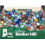 Discover The Past, Own The Present: Bunker Hill Online Estate Auction