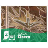 Don't Miss Out on the Cicero Estate Auction: Jewelry and Misc - Final Session